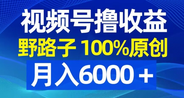 视频号野路子撸收益，100%原创，条条爆款，月入6000＋【揭秘】-木石资源网