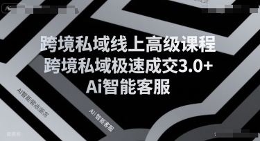 跨境私域线上高级课程，跨境私域极速成交3.0+Ai智能客服-木石资源网