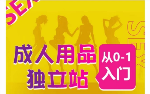 成人用品独立站从0-1入门，成品独立站运营全流程教学，七大好卖成品独立站推荐-木石资源网