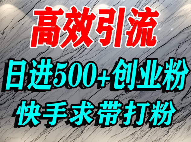怎么打创业粉？快手求带视角精准引流创业粉，宝妈、学生群体日进500+精准流量-木石资源网
