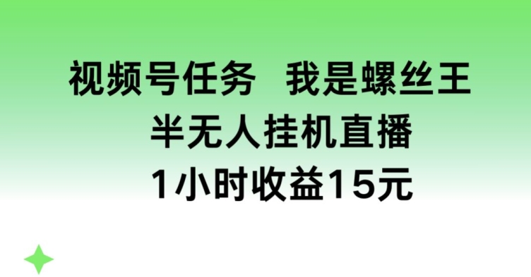 视频号任务，我是螺丝王， 半无人挂机1小时收益15元【揭秘】-木石资源网
