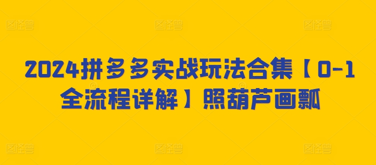 2024拼多多实战玩法合集【0-1全流程详解】照葫芦画瓢-木石资源网