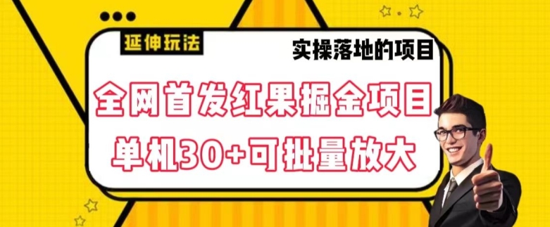 全网首发红果免费短剧掘金项目，单机30+可批量放大【揭秘】-木石资源网