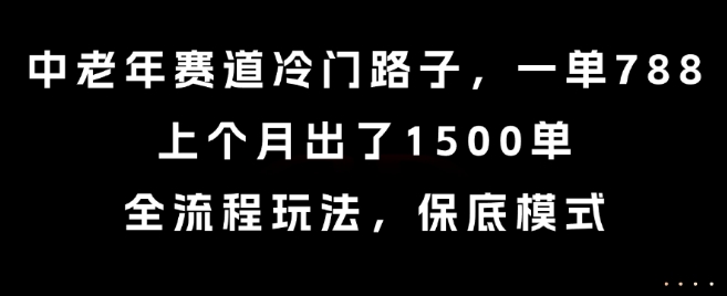 中老年赛道冷门路子，一单788，上个月出了1500单，全流程玩法，保底模式【揭秘】-木石资源网