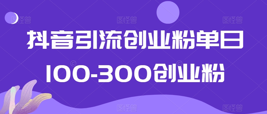 抖音引流创业粉单日100-300创业粉【揭秘】-木石资源网