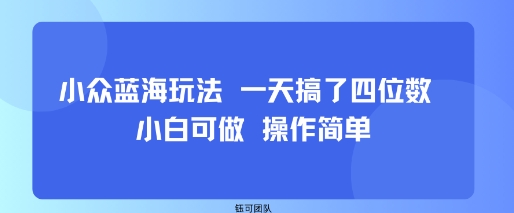 小众蓝海玩法 一天搞了四位数 小白可做 操作简单-木石资源网