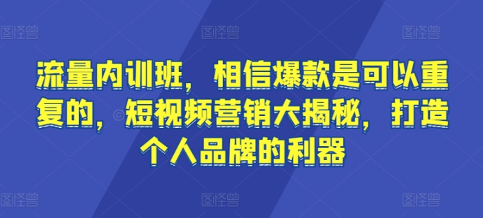 流量内训班，相信爆款是可以重复的，短视频营销大揭秘，打造个人品牌的利器-木石资源网