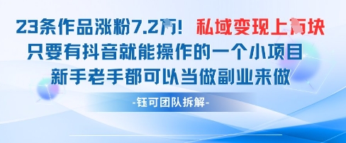 抖音私域项目23条作品涨粉7.2W，私域变现1W-木石资源网