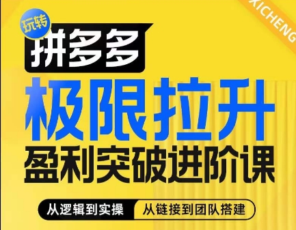 拼多多极限拉升盈利突破进阶课,从算法到玩法,从玩法到团队搭建,体系化系统性帮助商家实现利润提升