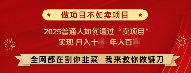 必看，做项目不如卖项目，2025普通人如何通过“卖项目”实现月入十个，年入百个-木石资源网