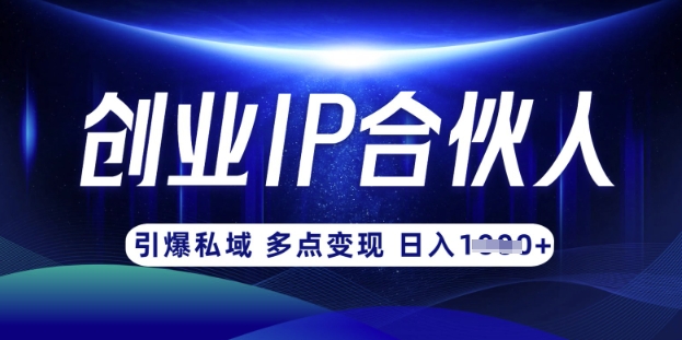 云帆·创业ip合伙人打造3.0,从0到1教你做网创,实现月入过W