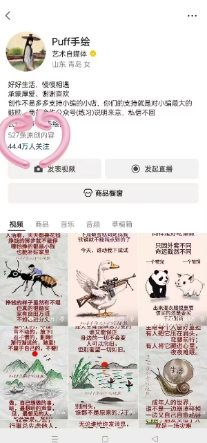 Puff手绘视频号分成项目，三天过分成计划，简单易上手，适合新手-木石资源网