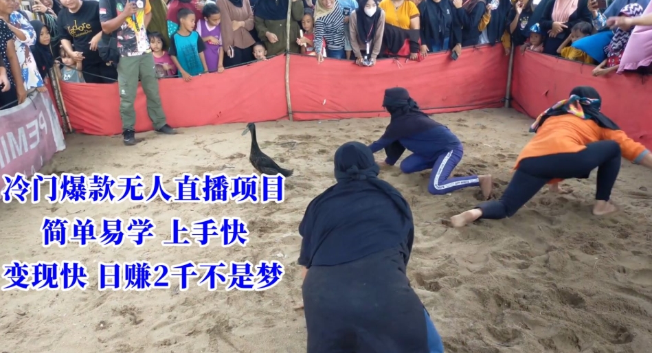 冷门爆款无人直播项目，简单易学上手快，变现快日赚2千不是梦【揭秘】-木石资源网