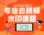 专业去视频水印教程 静态水印、动态水印、文字水印、图片水印一套教程通通搞定-木石资源网