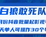 白狼敢死队最新抖音短视频批量起影视号(一天单人可操作30个号)视频课程-木石资源网