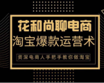 花和尚·天猫淘宝爆款运营实操技术,手把手教你月销万件的爆款打造技巧-木石资源网