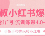 狼叔小红书爆款推广引流训练课4.0,手把手带你玩转小红书-木石资源网