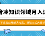 抖音冷知识领域月入过万项目,不适宜公开解决方案 ,抖音赚钱方式大解析!-木石资源网