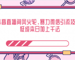 抖音直播间风火轮,暴力微信引流技术,低成本日加上千法-木石资源网