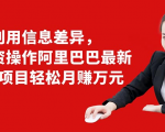 利用信息差异,零投资操作阿里巴巴最新管道项目轻松月赚10000+-木石资源网