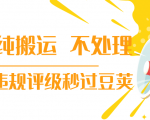 抖音纯搬运 不处理 小技巧,30秒发一个作品,避免违规评级秒过豆荚-木石资源网
