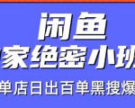 火焱社闲鱼独家绝密小班课-闲鱼单店日出百单黑搜爆破法-木石资源网