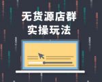 无货源店群实操玩法,蓝海选品的独特思路,店群软件操作方法(45节视频课)-木石资源网