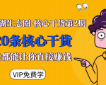 莫问江湖生态圈·核心干货第2期,20条核心干货,每一条都能让你直接赚钱-木石资源网
