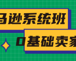 亚马逊系统班,专为0基础卖家量身打造,亚马逊运营流程与架构-木石资源网