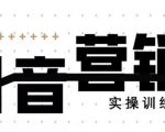《12天线上抖音营销实操训练营》通过框架布局实现自动化引流变现-木石资源网