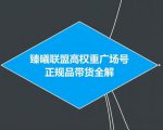 臻曦联盟抖音高权重广场号无人直播正规品带货全解-木石资源网