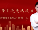 微信视频号运营变现课,带你玩转视频号实现月入10000+-木石资源网