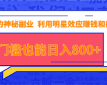 抖音上神秘副业项目,利用明星效应赚钱和截流,无门槛也能日入800+-木石资源网