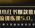 小红书爆款推广引流训练课5.0,手把手带你玩转小红书(17节实操视频+话术)-木石资源网