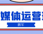 鹏哥自媒体运营班、宝妈兼职,也能月入2W,重磅推荐!【价值899元】-木石资源网