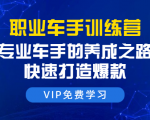 职业车手训练营:专业车手的养成之路,快速打造爆款(8节-无水印直播课)-木石资源网