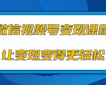 微信视频号变现项目,0粉丝冷启动项目和十三种变现方式-木石资源网
