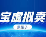 黑帽子淘宝虚拟卖货项目,单店每月收入5000+-木石资源网