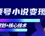 柚子微信视频号小说变现项目,全新玩法零基础也能月入10000+【核心技术】-木石资源网