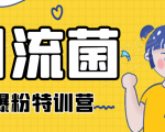 引流菌2020全网爆粉特训营(QQ群霸屏,知乎引流,群裂变,自动化引流等)-木石资源网