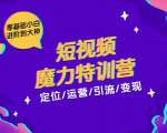 零基础小白进阶到大神《短视频魔力特训营》定位-运营-引流-变现-木石资源网