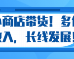 微信小商店带货,爆单多倍收入,长期复利循环!日赚300-800元不等-木石资源网