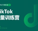 2020最新TikTok流量增长训练营(完结)附PPT-木石资源网