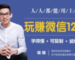 玩赚微信12招:这样玩微信,没钱没人脉也能在家多赚10万-木石资源网