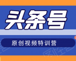 头条号原创视频特训营:一对一带你玩转短视频,新号10天日收益破252元-木石资源网