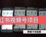 野路子小红书视频号1.0项目,直接上手操作就能赚钱的视频号项目-木石资源网