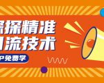 探探精准引流技术:探探上模拟器+探探做号方法+模拟器话术+视频演示-木石资源网