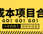 低成本零成本项目合集:赚钱快的慢的、暴利的,线上线下的,价值万元资料-木石资源网