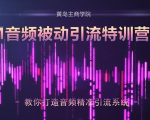 黄岛主·FM音频引流特训营2.0:独家引流模式,单账号50W+播放量,轻松变现-木石资源网