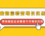 企业微信裂变增长实战课:带你搞定企业微信千万增长红利,新流量-新玩法-木石资源网
